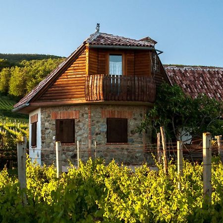 Robinson Vila Kitokret Kutjevo Экстерьер фото