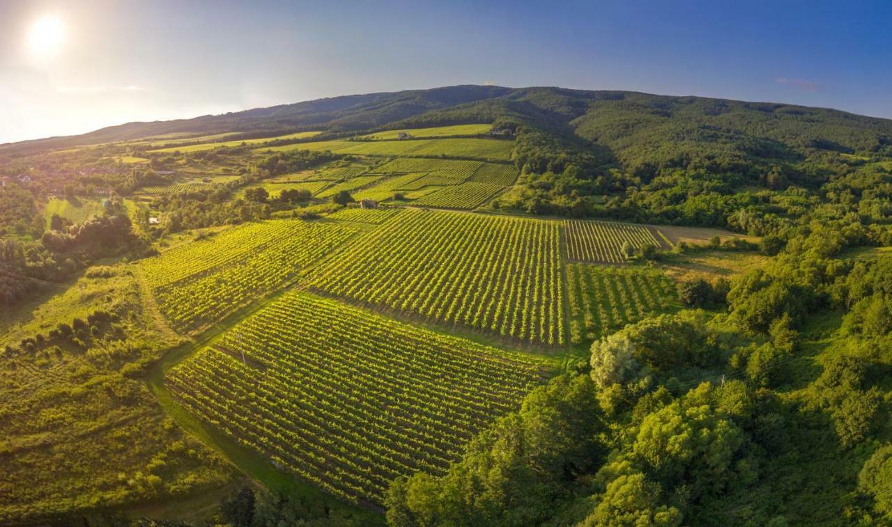 Robinson Vila Kitokret Kutjevo Экстерьер фото