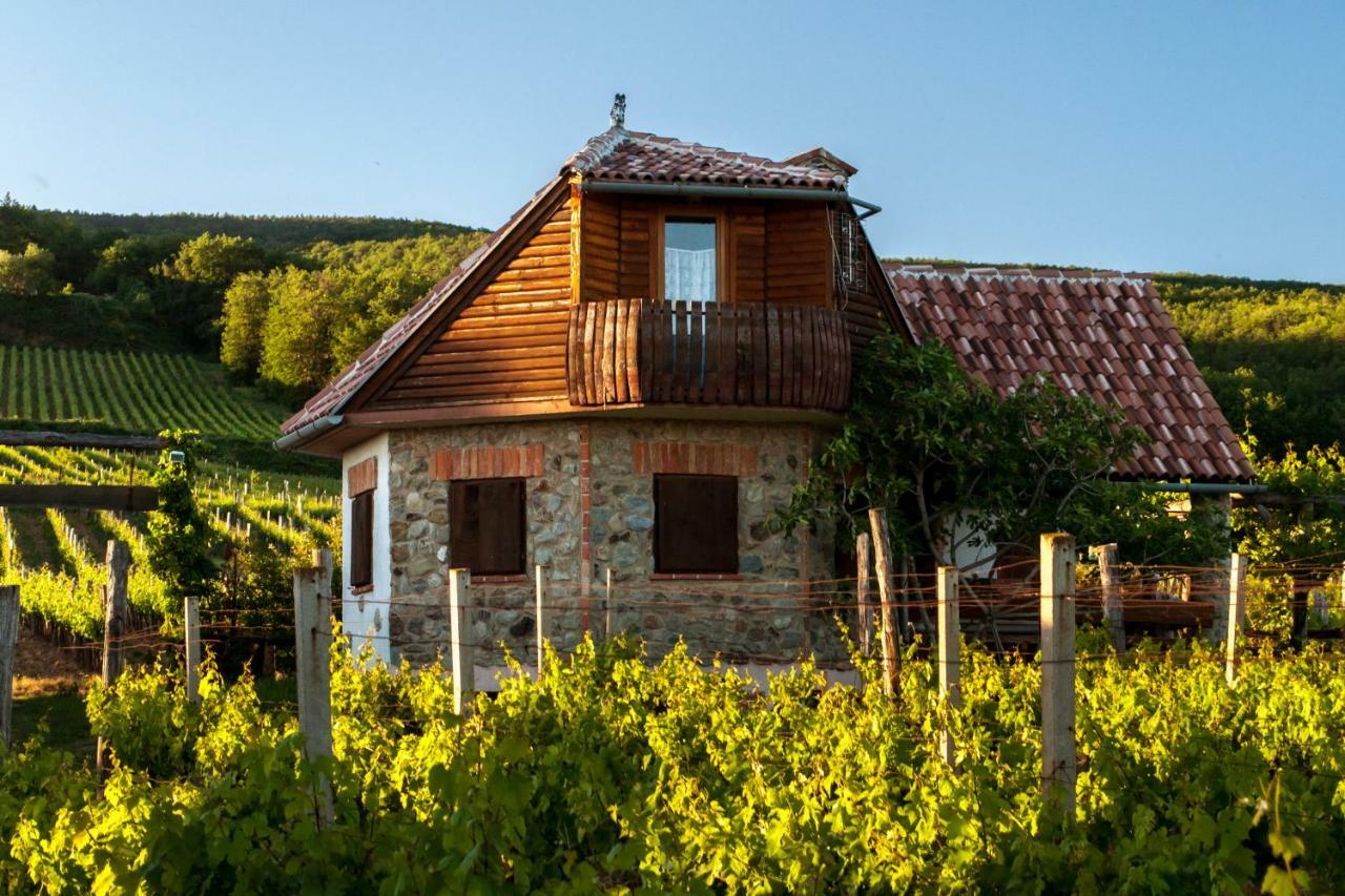 Robinson Vila Kitokret Kutjevo Экстерьер фото