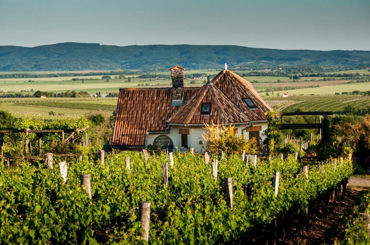 Robinson Vila Kitokret Kutjevo Экстерьер фото